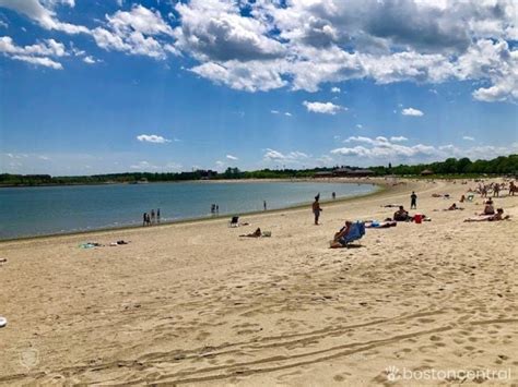 Opening South Boston beach now up to the city, Massachusetts wildlife officials say